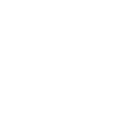 bridgestone